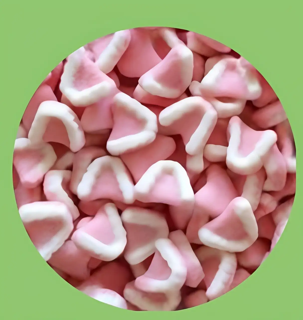 Dentier sucrée 100g